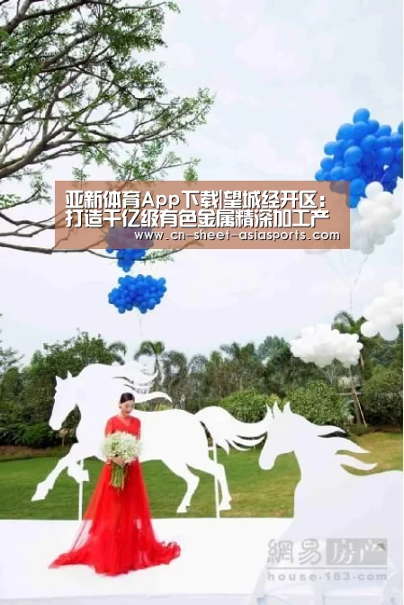 亚新体育App下载|望城经开区:打造千亿级有色金属精深加工产业集群(图1) 亚新体育手机应用