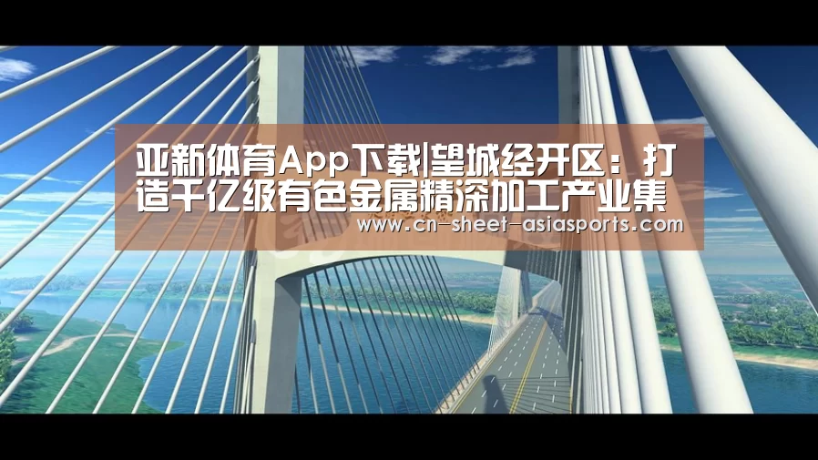 亚新体育App下载|望城经开区:打造千亿级有色金属精深加工产业集群(图2) 亚新体育手机应用
