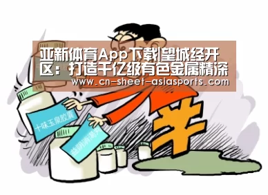 亚新体育App下载|望城经开区:打造千亿级有色金属精深加工产业集群(图4) 亚新体育手机应用