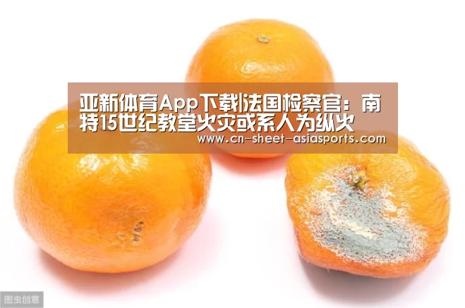 亚新体育App下载|法国检察官:南特15世纪教堂火灾或系人为纵火(图4) 亚新体育App下载