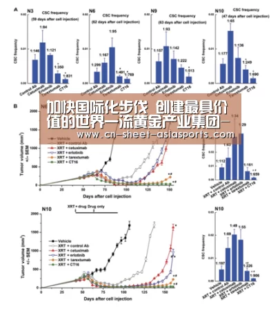 加快国际化步伐 创建最具价值的世界一流黄金产业集团- 亚新体育手机应用(图4) 亚新体育App下载