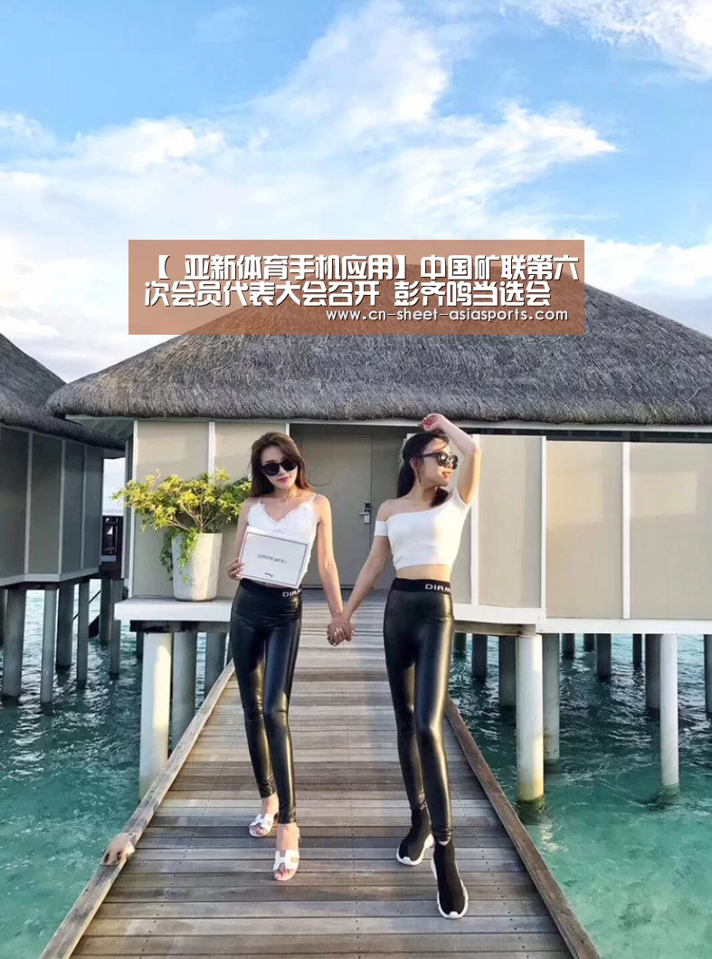【 亚新体育手机应用】中国矿联第六次会员代表大会召开 彭齐鸣当选会长(图1) 亚新体育App下载