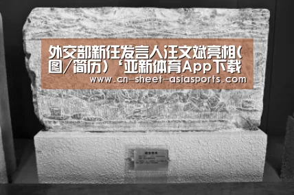 外交部新任发言人汪文斌亮相(图/简历)‘亚新体育App下载’(图4) 亚新体育App下载