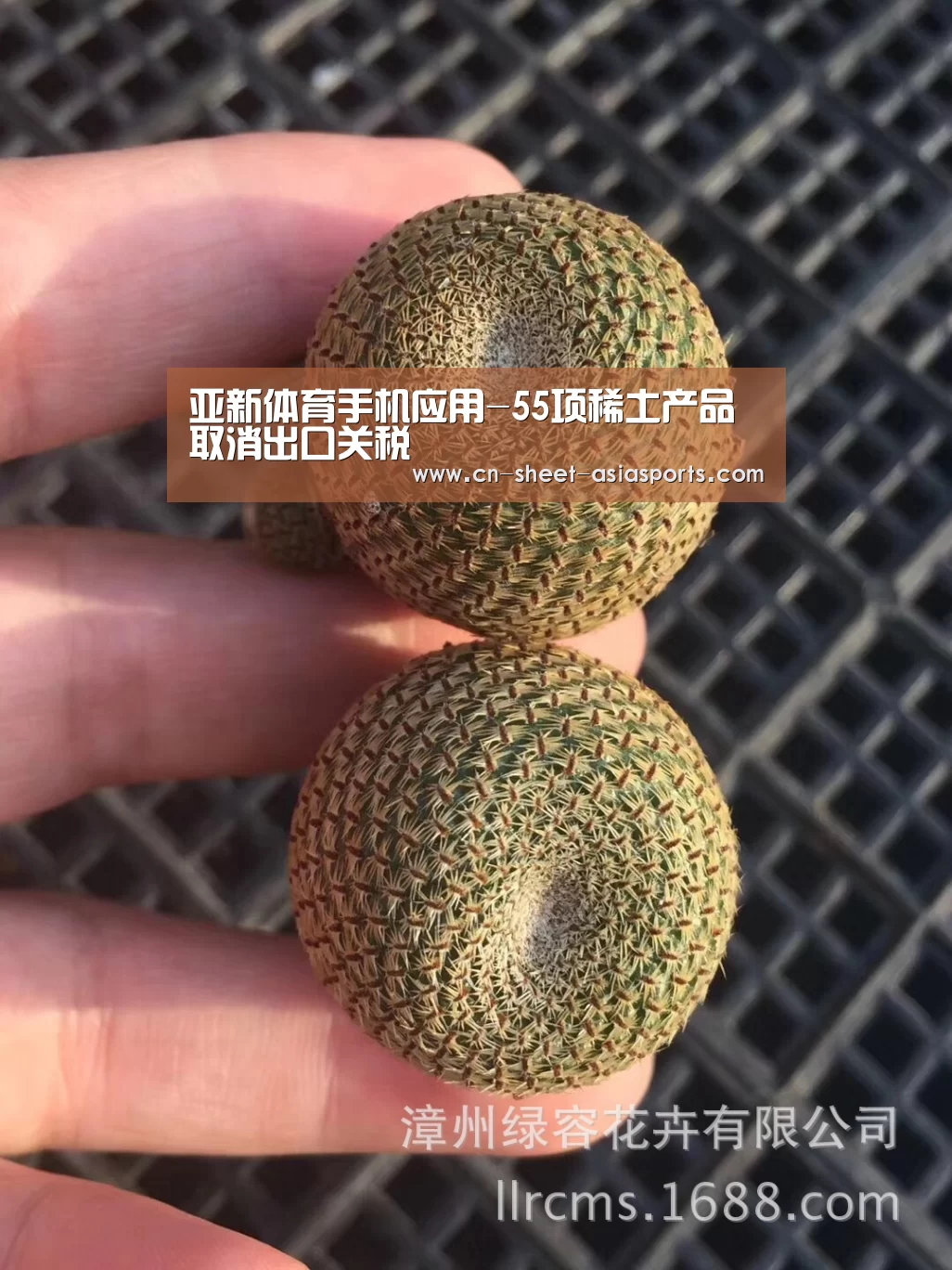 亚新体育手机应用-55项稀土产品取消出口关税(图3) 亚新体育手机应用