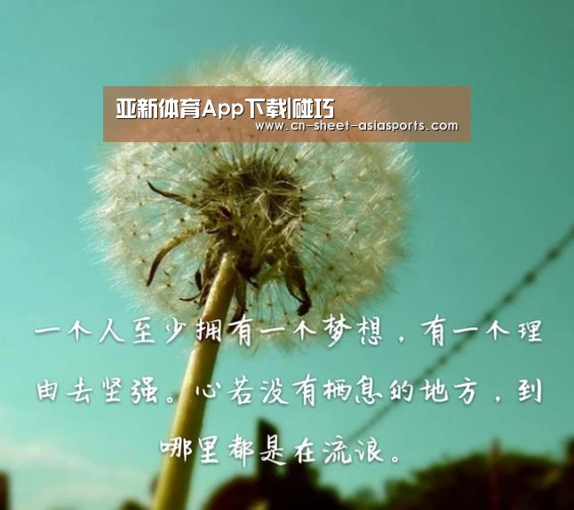亚新体育App下载|碰巧(图2) 亚新体育手机应用