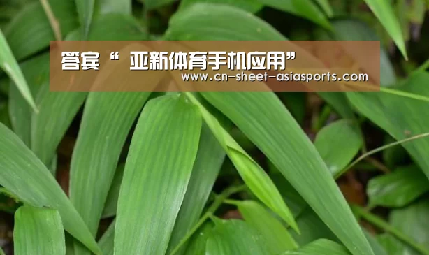 答宾“ 亚新体育手机应用”(图3) 亚新体育App下载