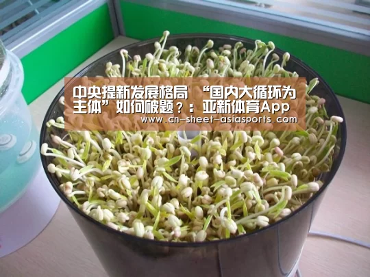 中央提新发展格局 “国内大循环为主体”如何破题?:亚新体育App下载(图2) 亚新体育手机应用