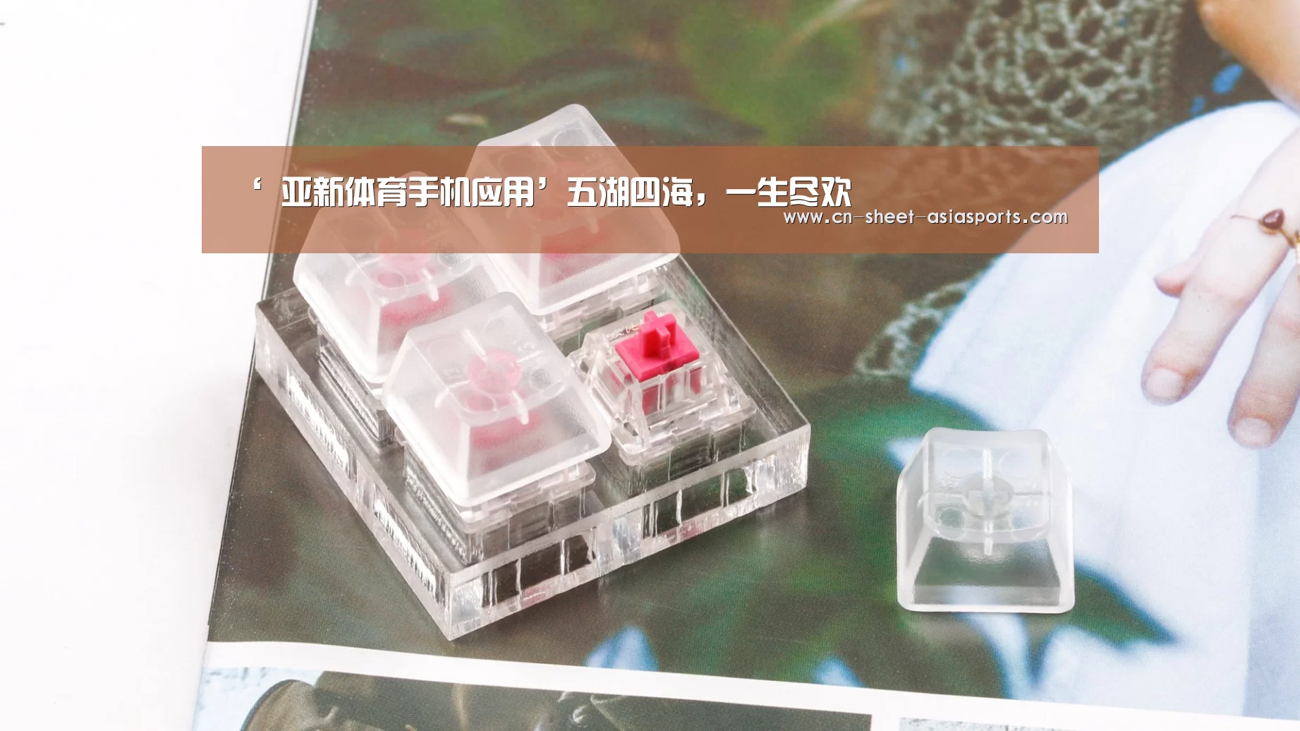 ‘ 亚新体育手机应用’五湖四海,一生尽欢(图3) 亚新体育App下载