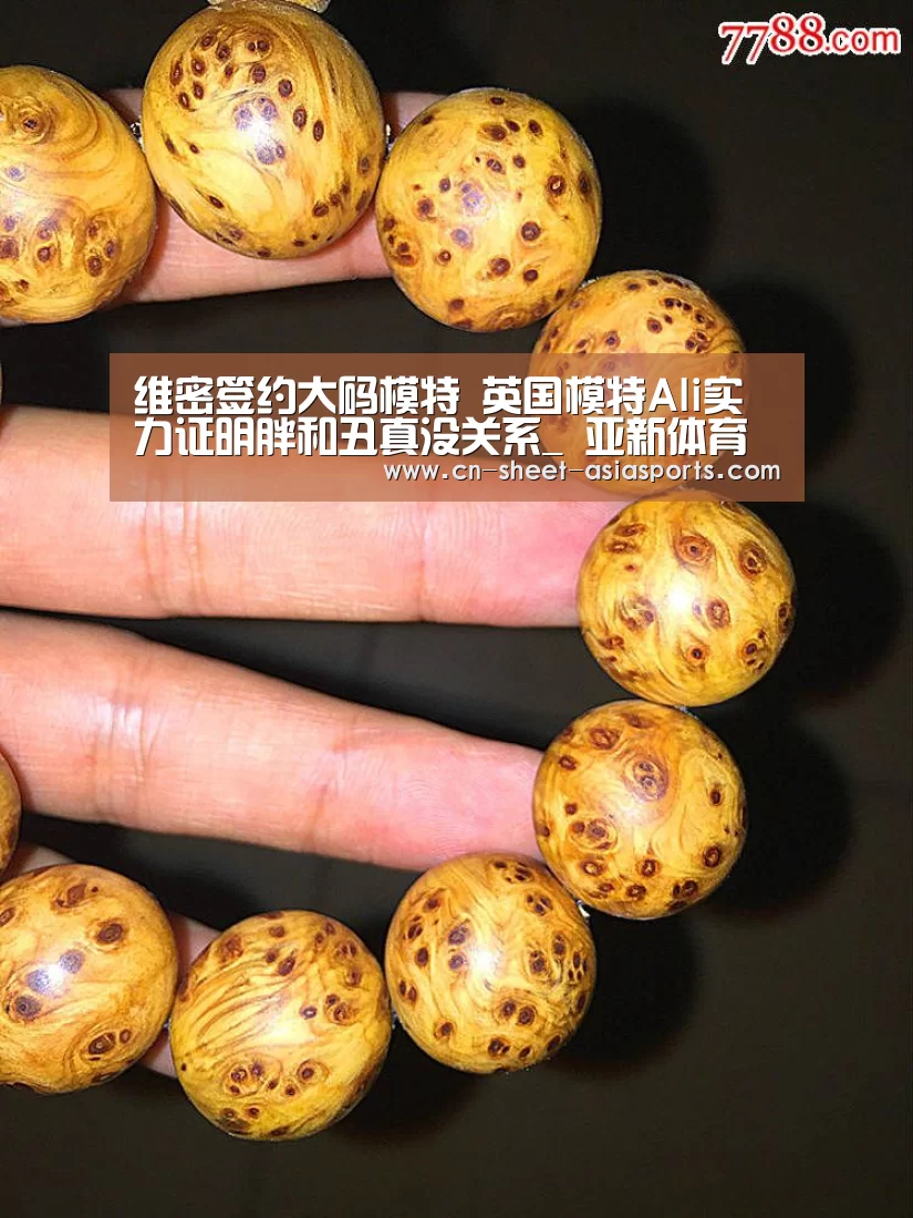  亚新体育手机应用
